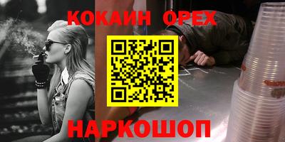индика Камышлов