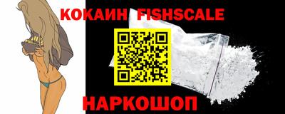 индика Камышлов