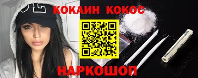индика Камышлов