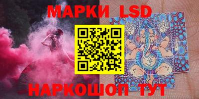 индика Камышлов