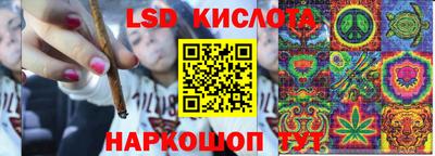 индика Камышлов