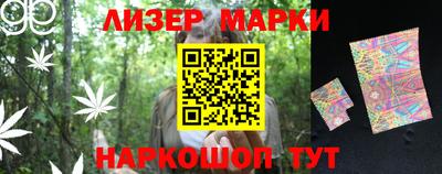 индика Камышлов