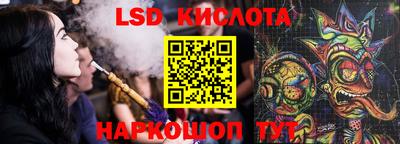 индика Камышлов