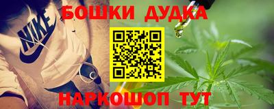 индика Камышлов
