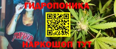 индика Камышлов