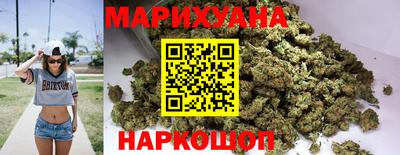 индика Камышлов