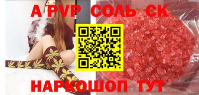индика Камышлов