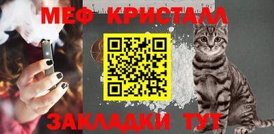 индика Камышлов
