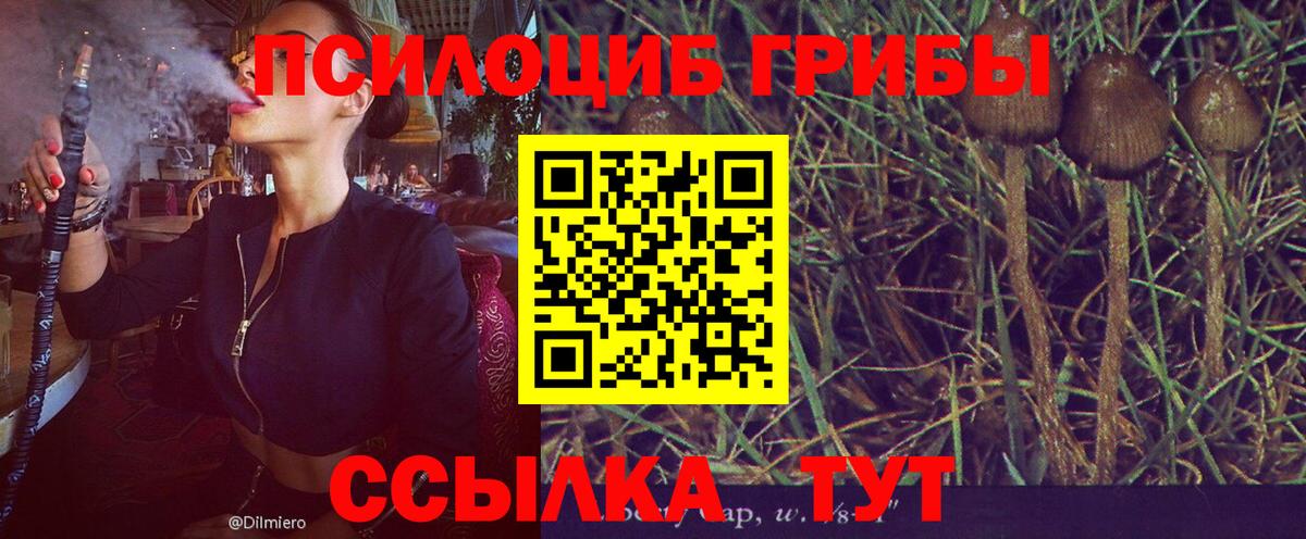 Кудрово  Галлюциногенные грибы прущие грибы  Вход с VPN 