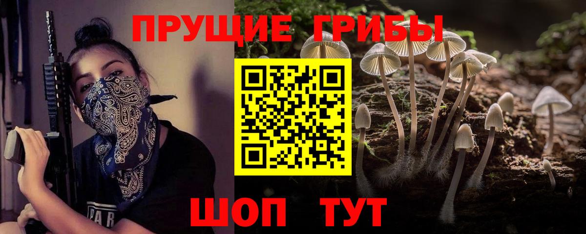Галлюциногенные грибы Psilocybine cubensis Кудрово